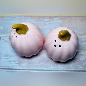 Hand Painted Pink Ceramic Pumpkin Salt & Pepper Shakers~Unique Set 4 Fall  Decor